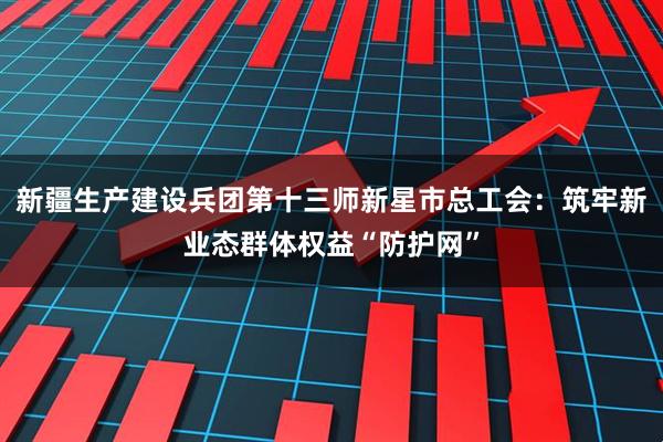 新疆生产建设兵团第十三师新星市总工会：筑牢新业态群体权益“防护网”